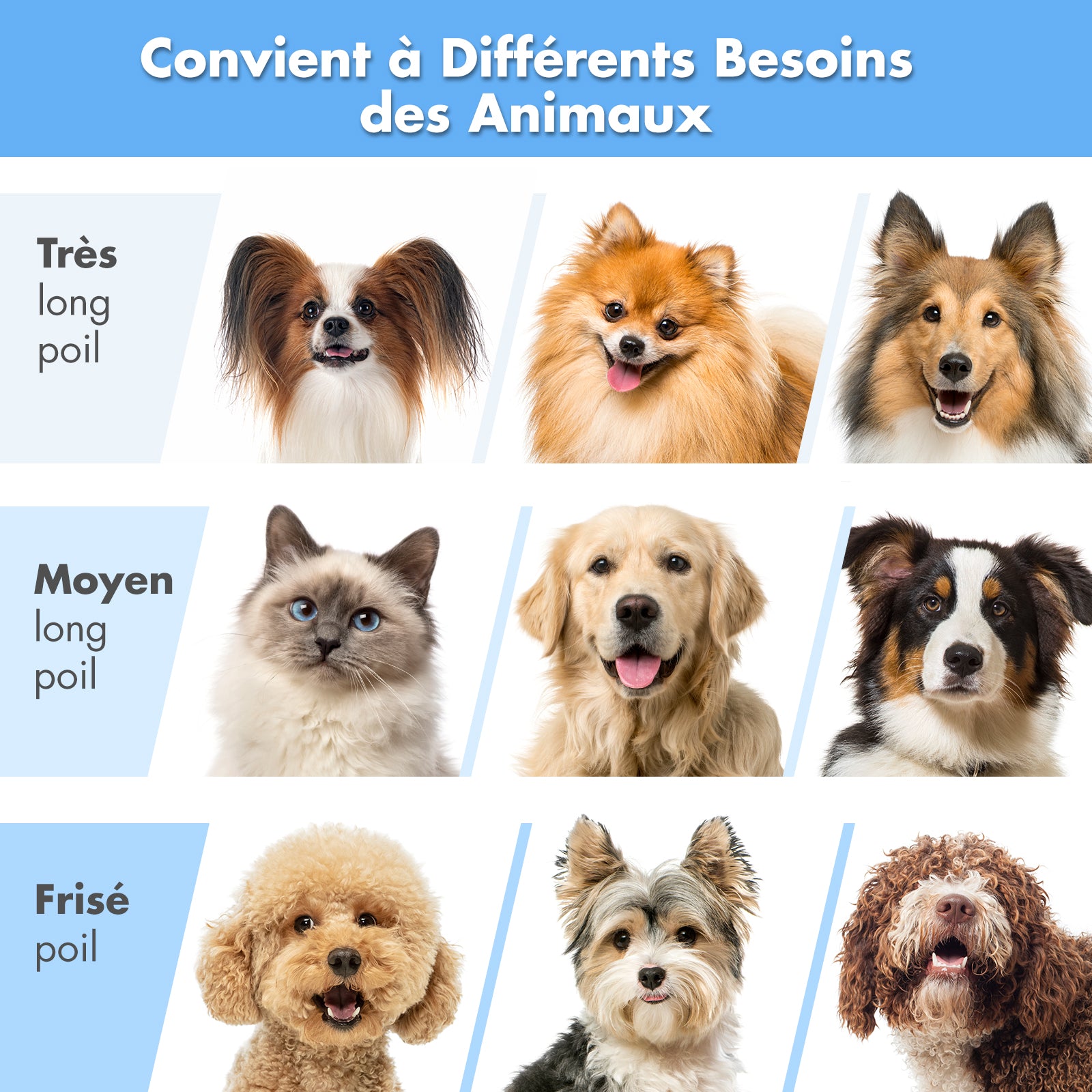 Neakasa P2 Pro - Kit de toilettage avec aspirateur pour chiens et chats