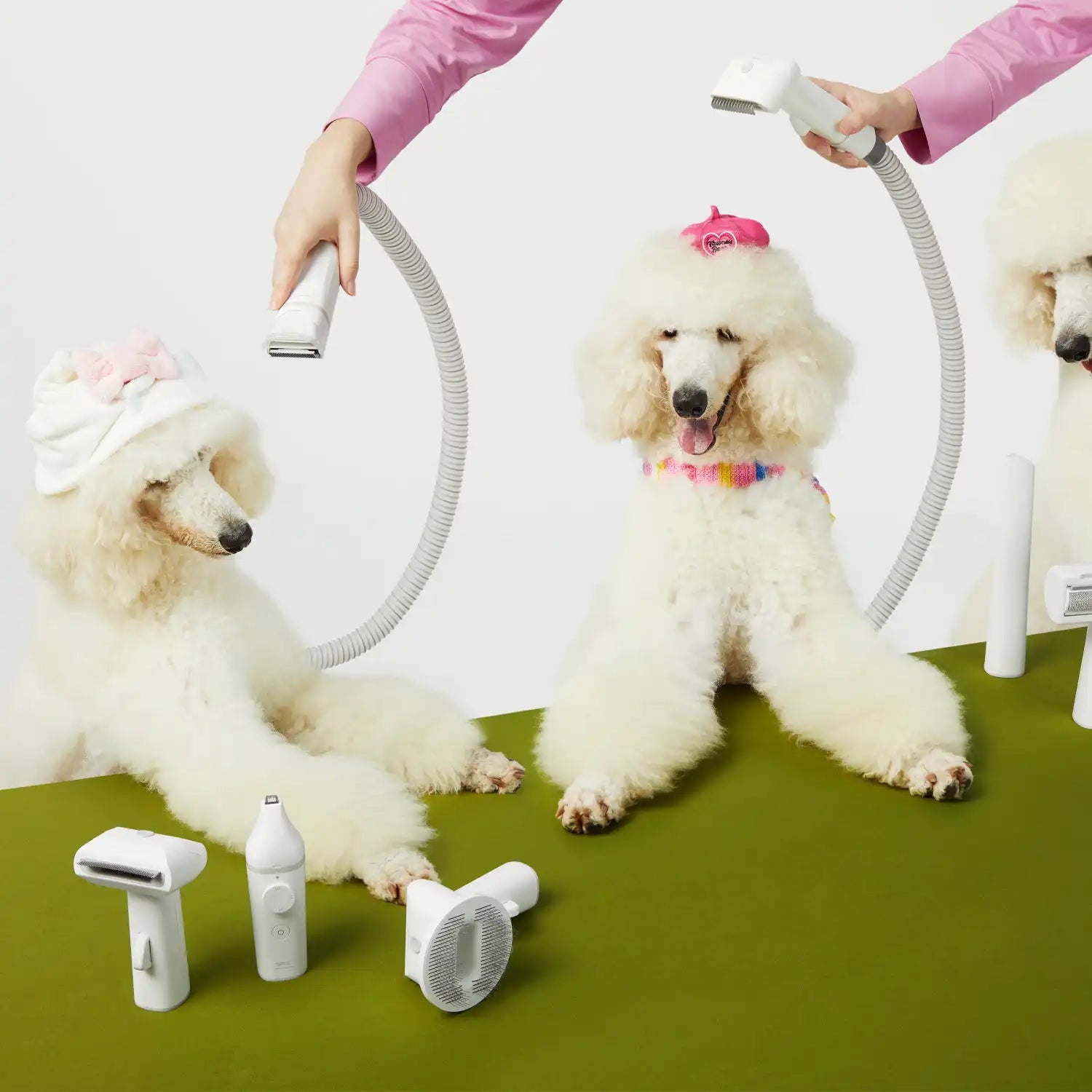 Neakasa S1 Pro - Aspirateur de toilettage 7 en 1 pour chiens et chats