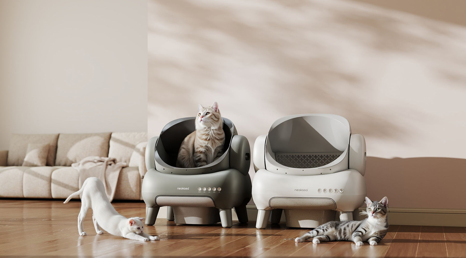 Comment prévenir la prolifération bactérienne dans la litière pour chat ?