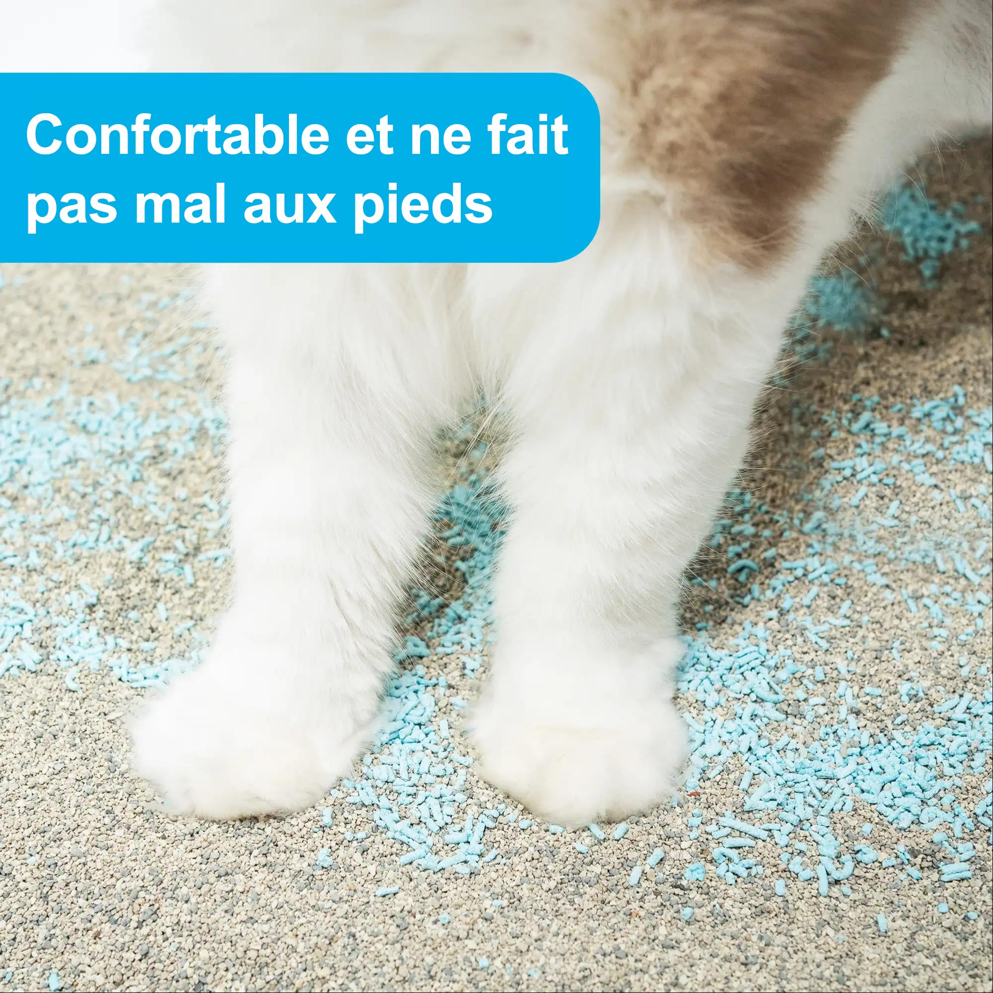 Neakasa Désodorisant de Litière pour Chats