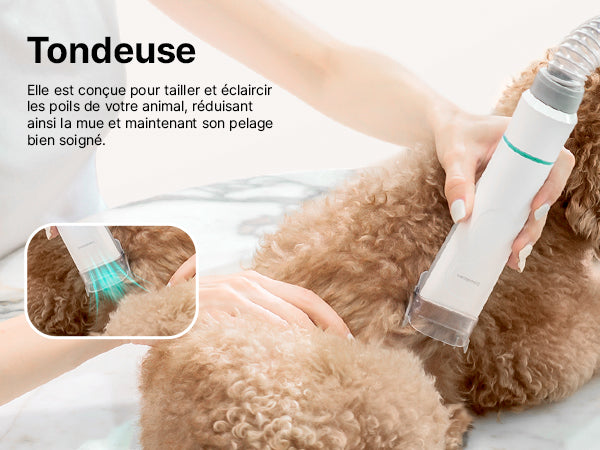Neakasa P1 Pro – Aspirateur de toilettage 5-en-1 pour chiens et chats