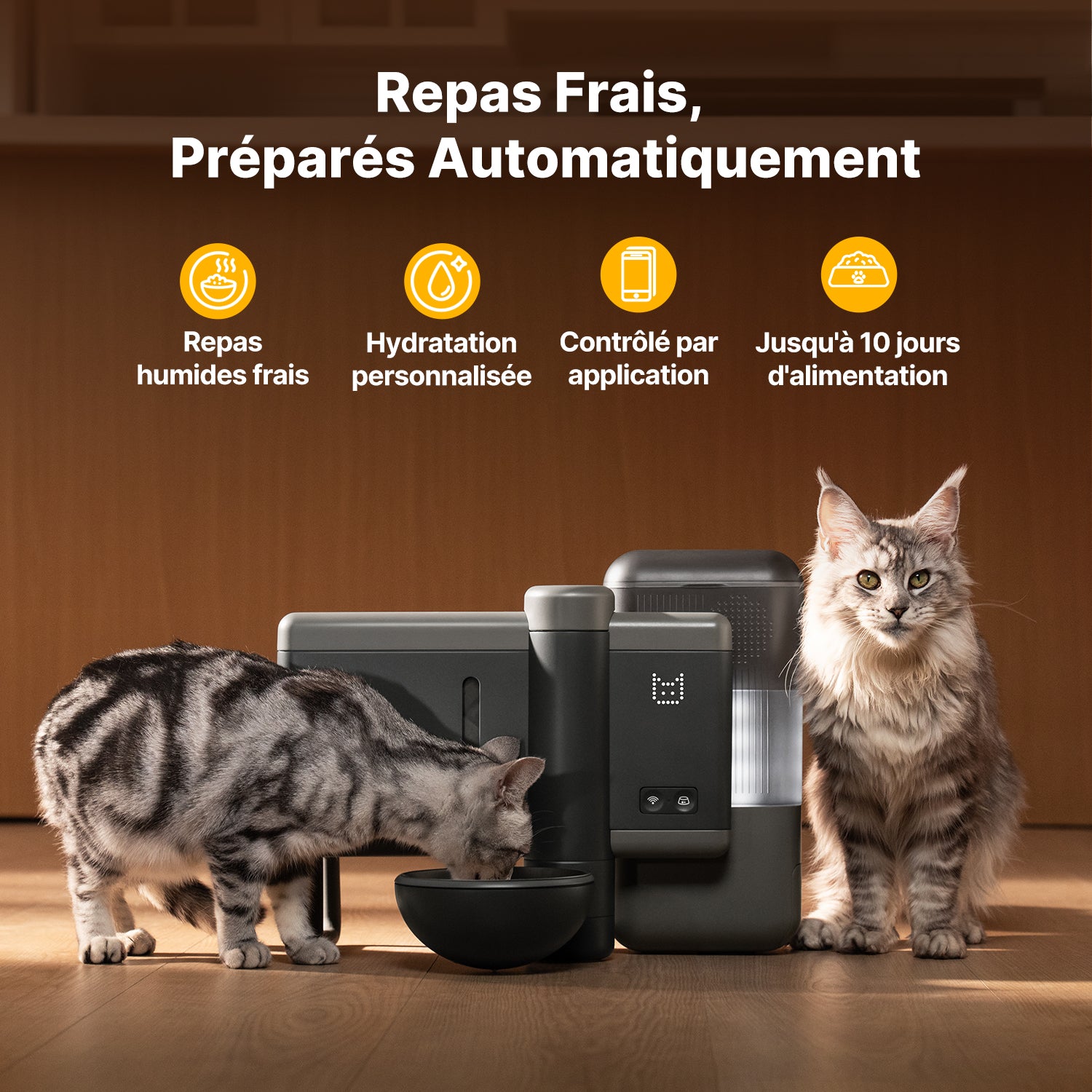 (Prévente) Neakasa Riko - Distributeur automatique de nourriture humide pour animaux